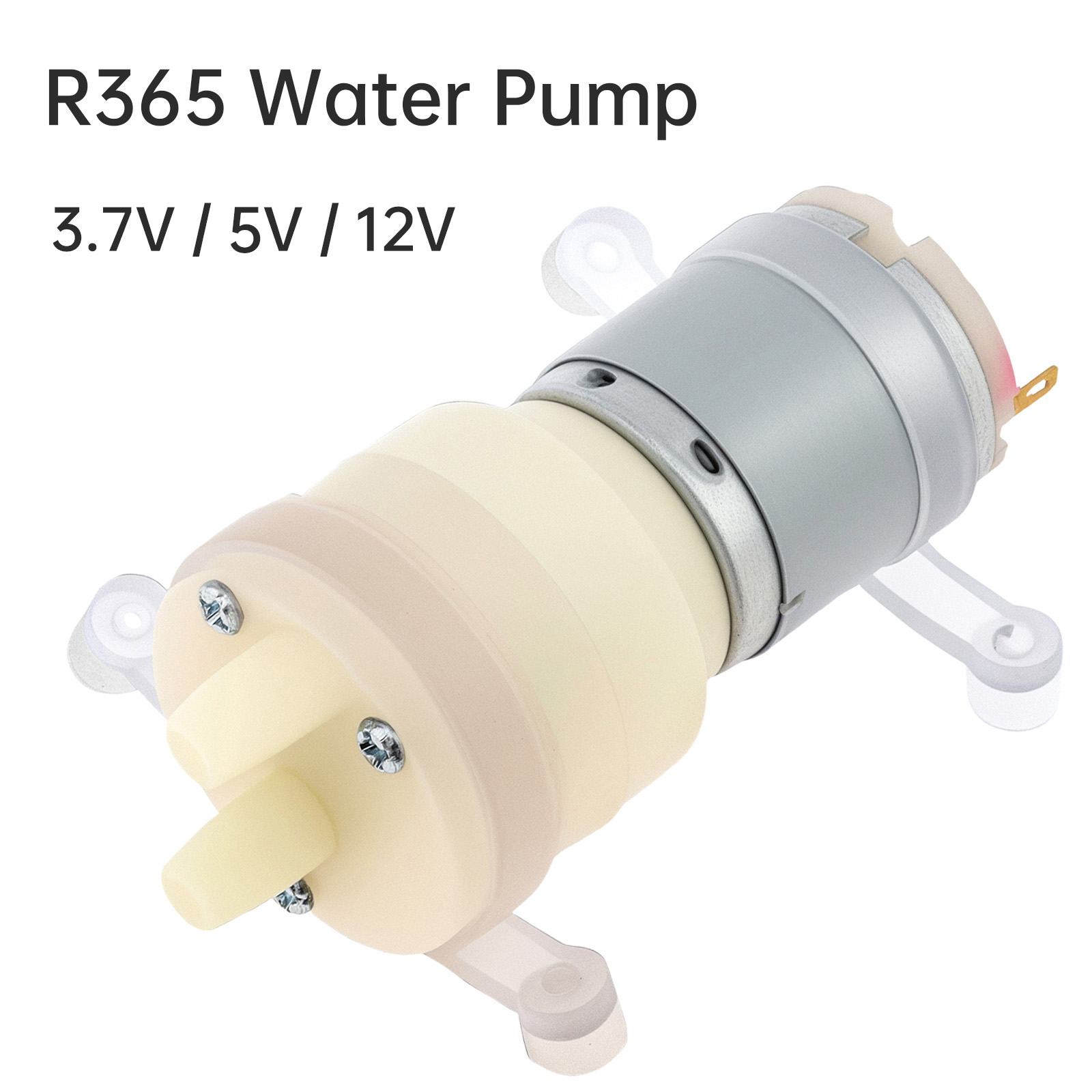 R365 Micro Water Pump Motor DC - огляд і ціна Mini Peristaltic Pump 12V